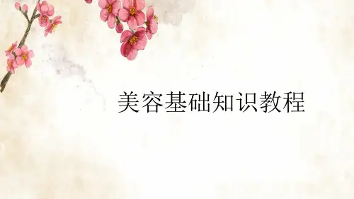 美容师美容化妆知识培训ppt