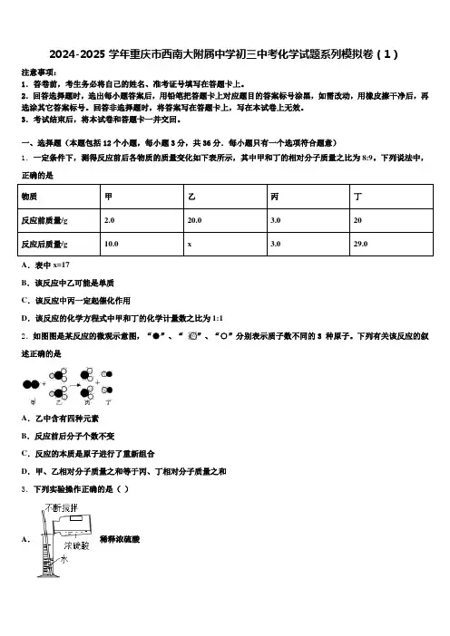 2024-2025学年重庆市西南大附属中学初三中考化学试题系列模拟卷(1)含解析