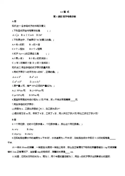 4.1 整 式 同步练习人教版(2024新教材)七年级数学上册(含答案)