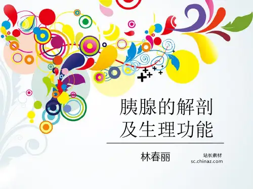 胰腺的解剖及生理功能详解