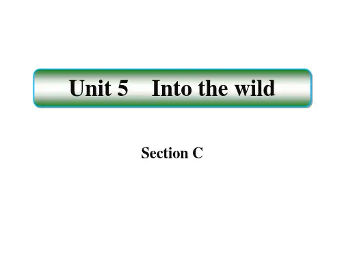《Intothewild》SectionCPPT课件