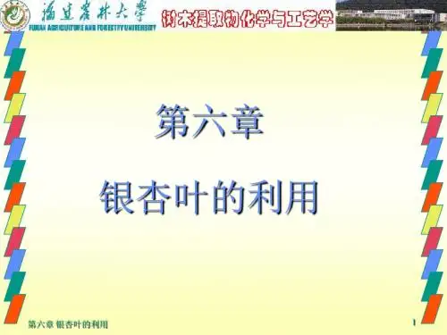 第六章银杏叶的利用