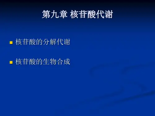 生物化学 核苷酸代谢与核酸合成