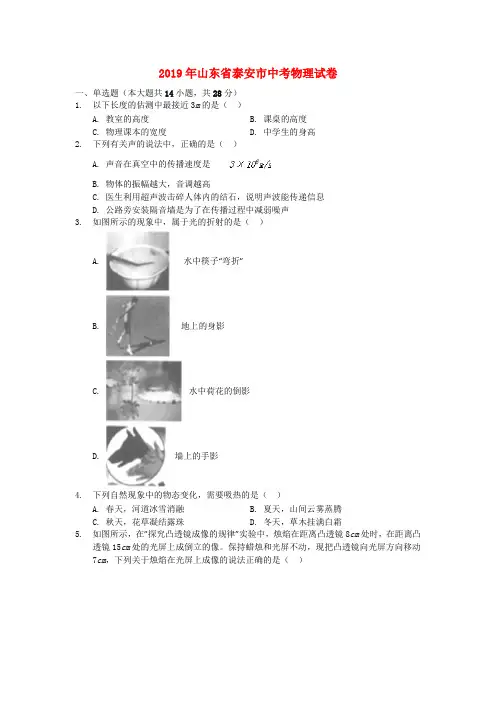 山东省泰安市2019年中考物理真题试题含答案解析