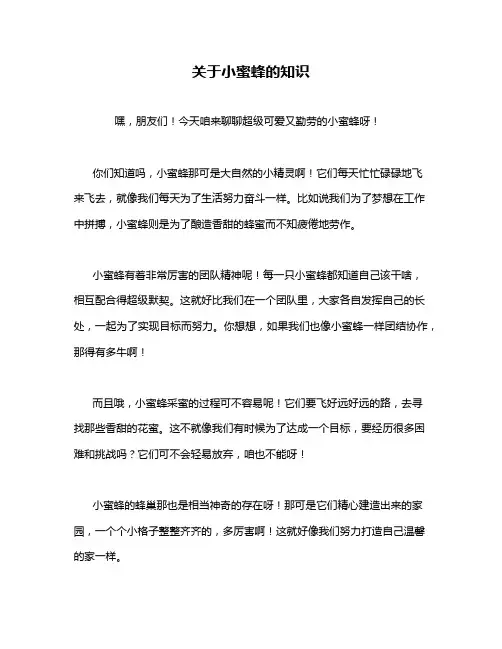 关于小蜜蜂的知识