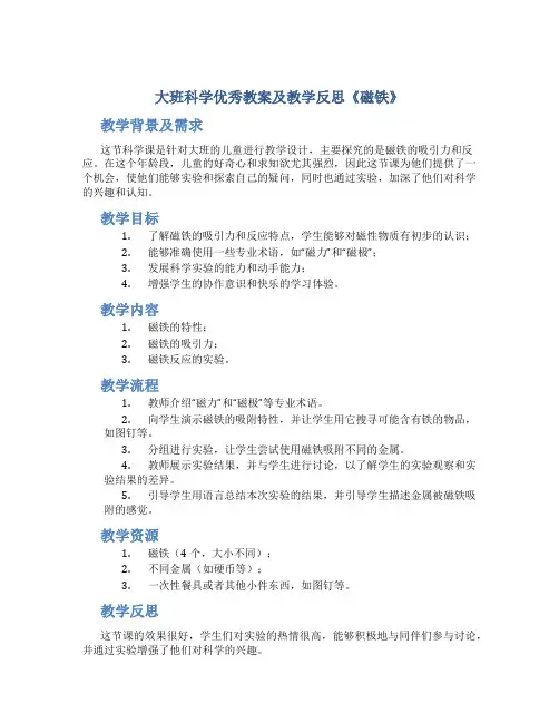 大班科学优秀教案及教学反思《磁铁》