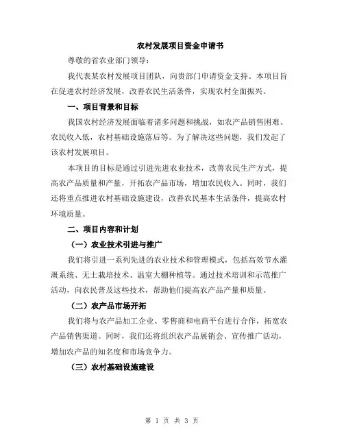 农村发展项目资金申请书