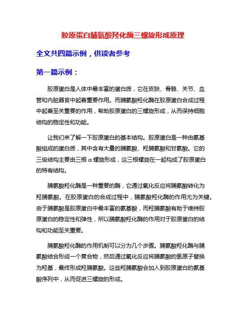胶原蛋白脯氨酸羟化酶三螺旋形成原理