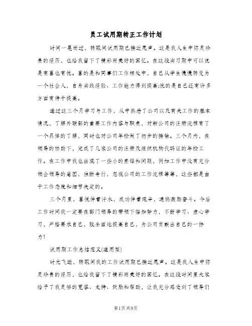 员工试用期转正工作计划（四篇）