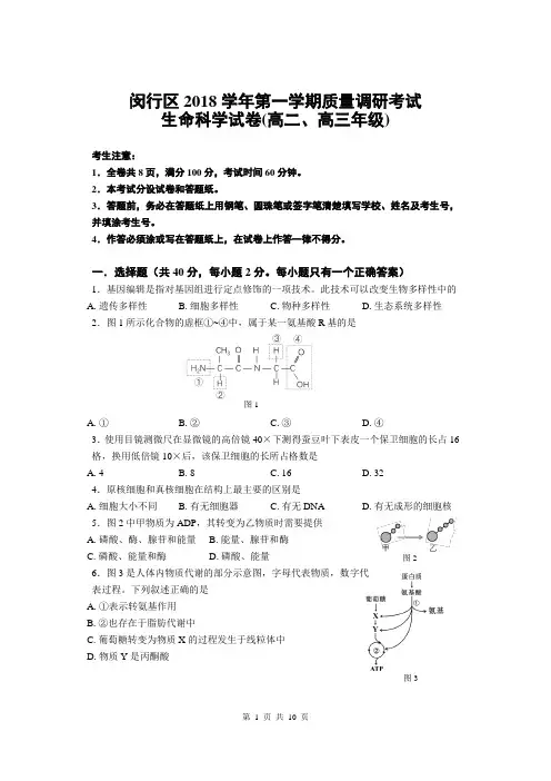 2018学年闵行区高二高三等级性考试生命科学一模(含答案)