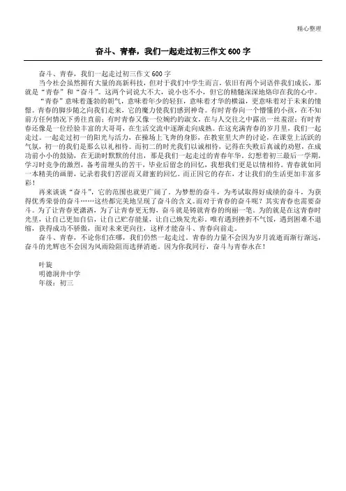 奋斗、青春,我们一起走过初三作文600字