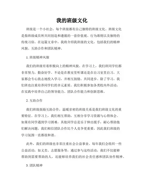 我的班级文化