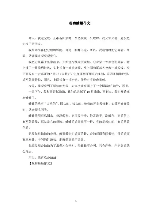 观察蛐蛐作文范文精选
