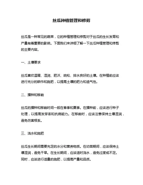 丝瓜种植管理和修剪