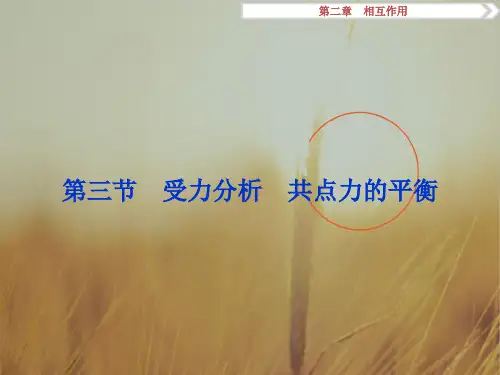 2018高考物理新课标总复习课件：第二章第三节 受力分析 共点力的平衡