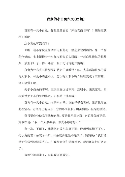 我家的小白兔作文(12篇)精选