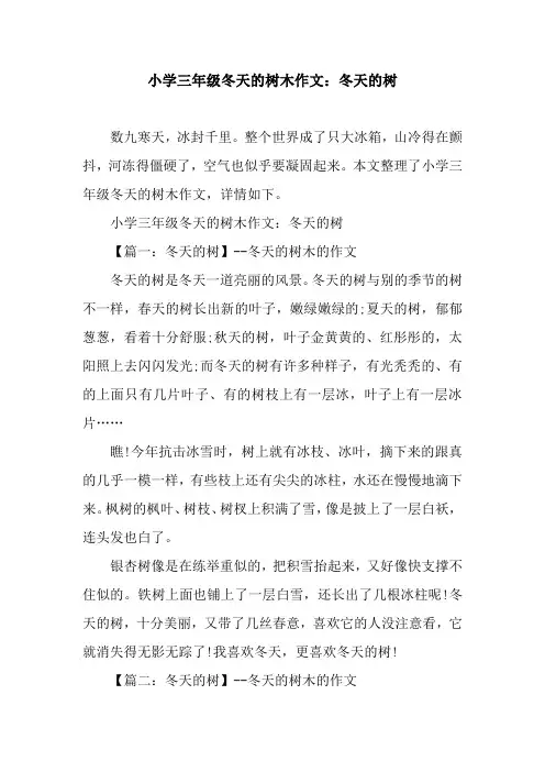 小学三年级冬天的树木作文：冬天的树