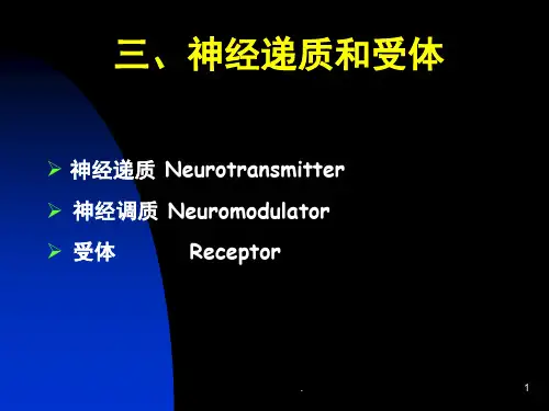 神经递质和受体(课堂PPT)