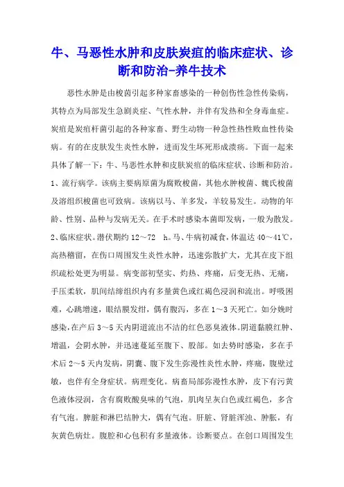 牛、马恶性水肿和皮肤炭疽的临床症状、诊断和防治 - 养牛技术