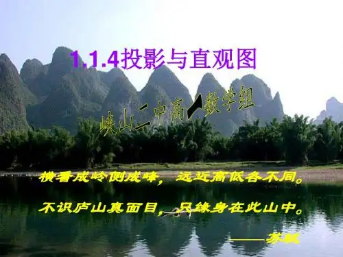 投影与直观图