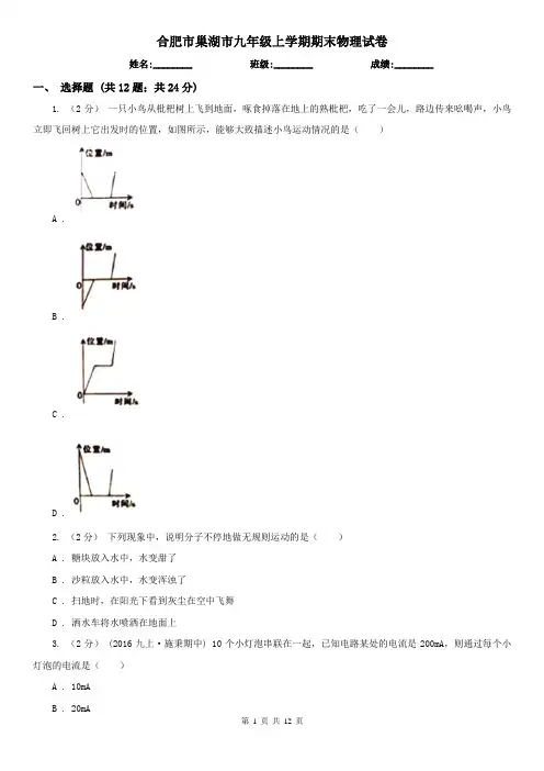 合肥市巢湖市九年级上学期期末物理试卷