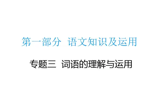 中考语文总复习专题课件：专题三  词语的理解与运用 (共19张PPT)