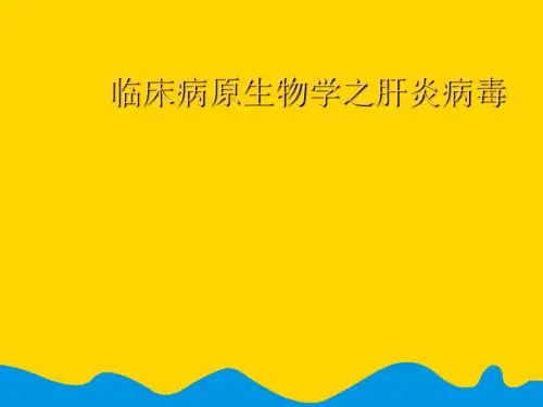 临床病原生物学之肝炎病毒优秀课件【完美版PPT】