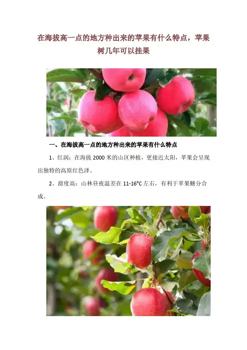 在海拔高一点的地方种出来的苹果有什么特点,苹果树几年可以挂果