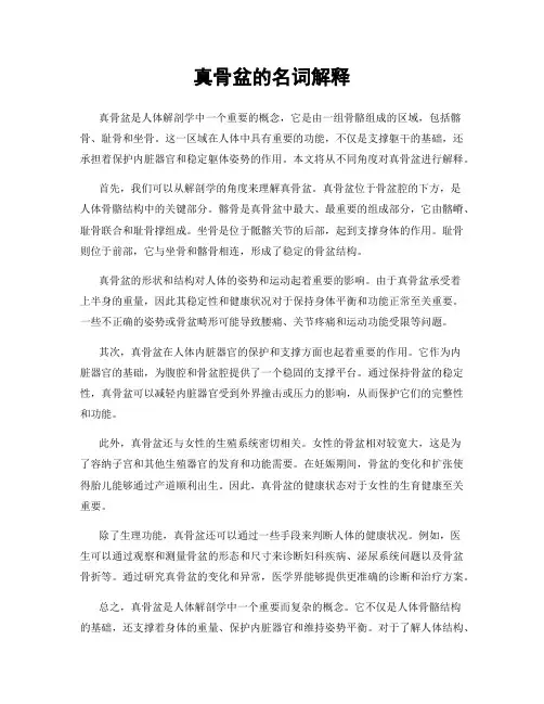 真骨盆的名词解释