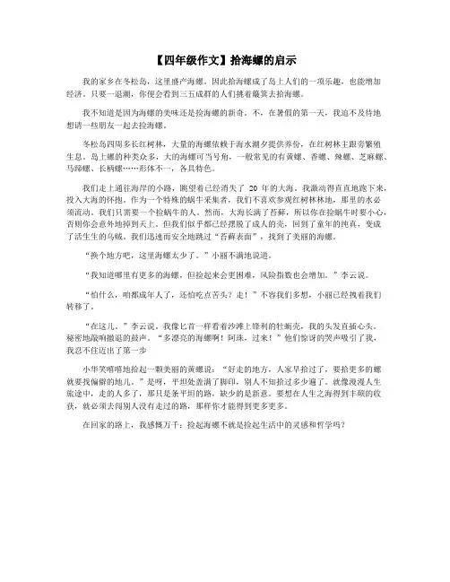 【四年级作文】拾海螺的启示