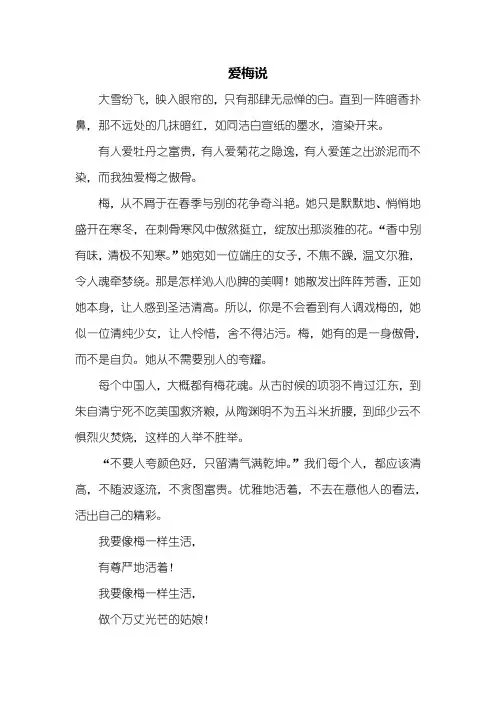 初一作文：爱梅说作文400字