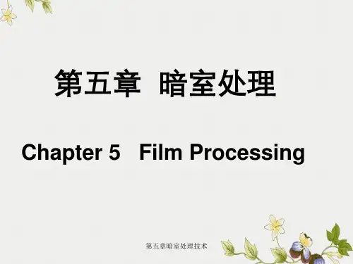 第五章暗室处理技术
