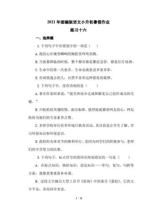 六年级下册语文试题 小升初暑假作业练习十六(含答案) 部编版