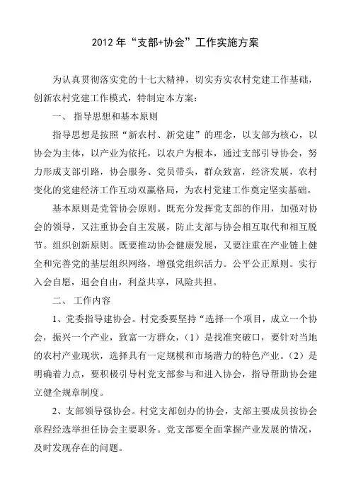“支部+协会”工作实施方案)