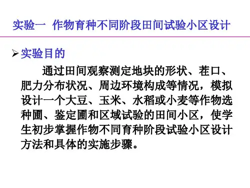 作物育种不同阶段田间试验小区设计