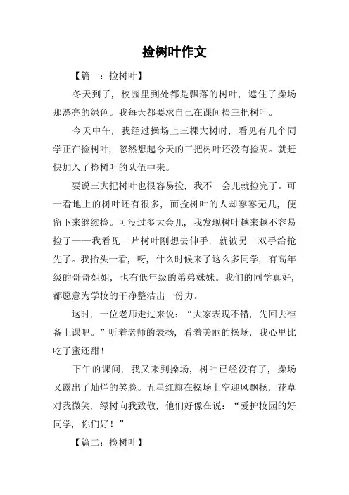 捡树叶作文