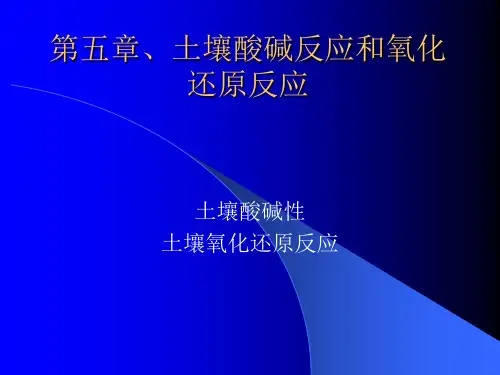 土壤酸碱反应和氧化还原反应