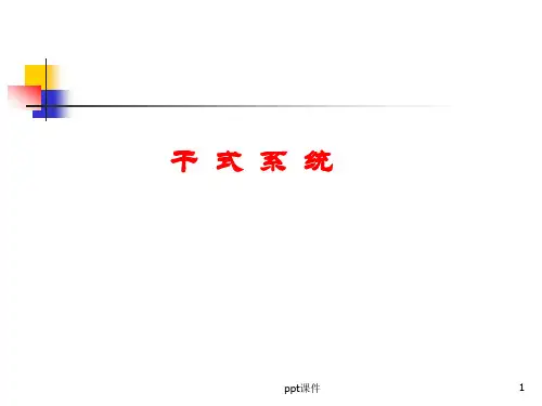 干式系统  ppt课件