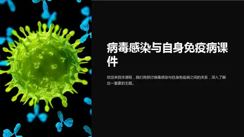 病毒感染与自身免疫病课件