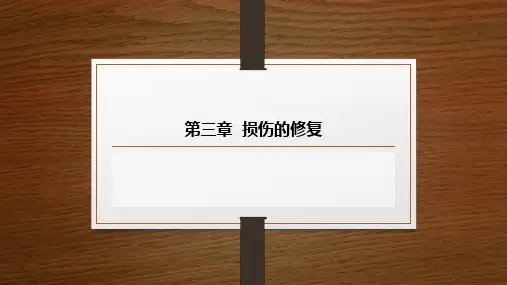 第三章损伤的修复PPT课件