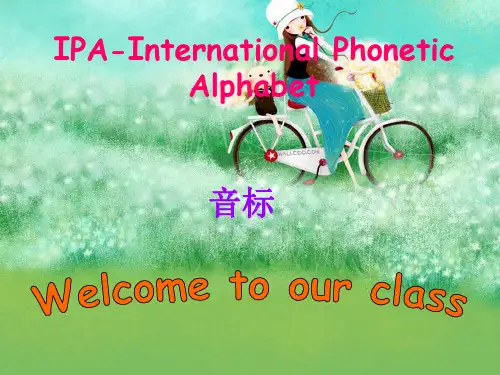 完整音标教学ppt课件【2024版】