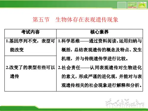 新浙科版 必修2  生物体存在表观遗传现象 课件(32张)