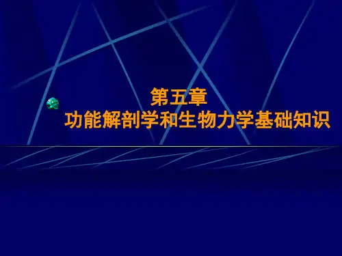 第五章功能解剖学和生物力学基础知识