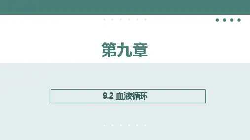 9.2 血液循环(第一课时)同步课件北师大版生物七年级下册