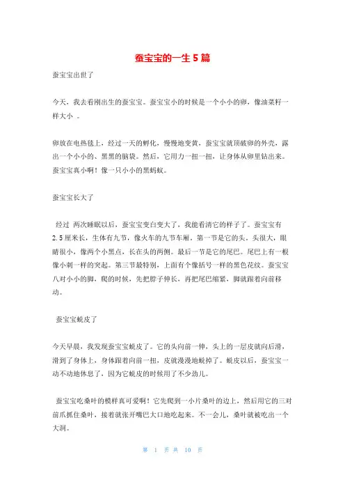 蚕宝宝的一生5篇