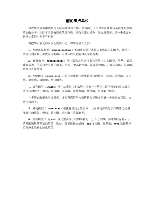 酶的组成单位