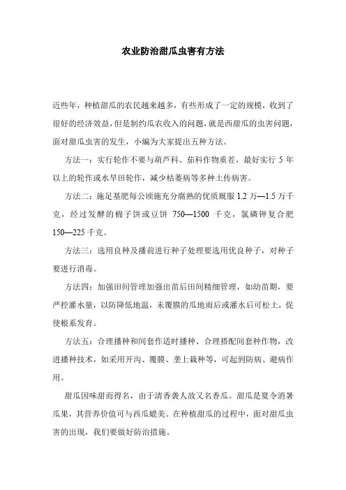 农业防治甜瓜虫害有方法.doc