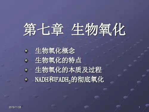 第七章 生物氧化