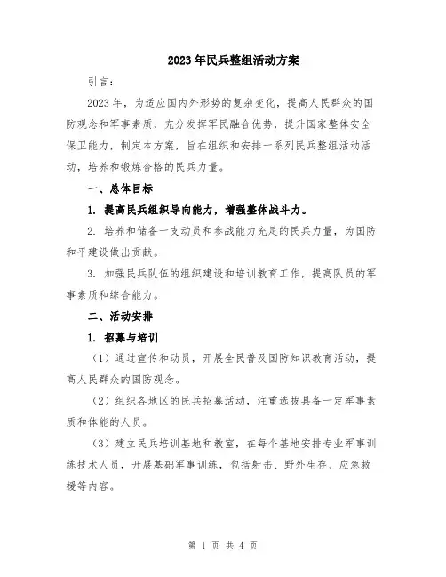 2023年民兵整组活动方案