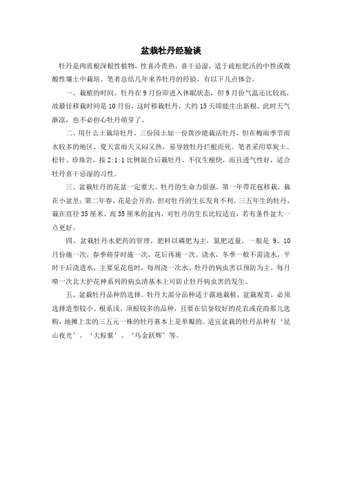 盆栽牡丹经验谈